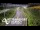 Webcam in North Shore, 0.6 mi away
