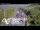 Webcam in North Shore, 0.6 mi away