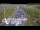 Webcam in North Shore, 5.3 km entfernt