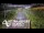 Webcam in North Shore, 2.9 mi away