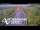 Webcam in North Shore, 0.6 mi away