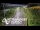 Webcam in North Shore, 0.6 mi away