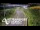 Webcam in North Shore, 0.6 mi away