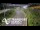 Webcam in North Shore, 10.4 km entfernt