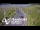 Webcam in North Shore, 0.6 mi away