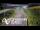 Webcam in North Shore, 0.6 mi away