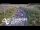 Webcam in North Shore, 7.7 km entfernt