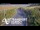 Webcam in North Shore, 0.6 mi away