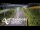 Webcam in North Shore, 6.7 km