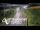 Webcam in North Shore, 0.6 mi away