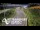 Webcam in North Shore, 0.6 mi away