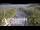 Webcam in North Shore, 0.6 mi away