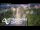 Webcam in North Shore, 5.3 km entfernt