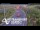Webcam in North Shore, 2.9 mi away