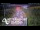 Webcam in North Shore, 5.3 km
