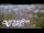 Webcam in North Shore, 0.6 mi away