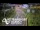 Webcam in North Shore, 0.6 mi away