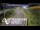 Webcam in North Shore, 10.4 km