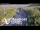 Webcam in North Shore, 0.6 mi away