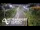 Webcam in North Shore, 0.6 mi away