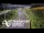 Webcam in North Shore, 0.6 mi away