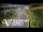 Webcam in North Shore, 0.6 mi away