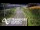 Webcam in North Shore, 0.6 mi away