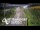 Webcam in North Shore, 24.5 km