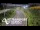 Webcam in North Shore, 0.6 mi away