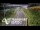 Webcam in North Shore, 0.6 mi away