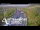 Webcam in North Shore, 3.5 km entfernt