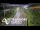 Webcam in North Shore, 0.6 mi away
