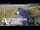 Webcam in North Shore, 5.3 km entfernt
