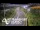 Webcam in North Shore, 0.6 mi away