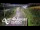 Webcam in North Shore, 0.6 mi away