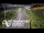 Webcam in North Shore, 5.3 km entfernt