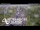 Webcam in North Shore, 0.6 mi away