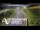 Webcam in North Shore, 0.6 mi away