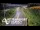 Webcam in North Shore, 0.6 mi away