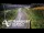 Webcam in North Shore, 0.6 mi away
