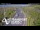 Webcam in North Shore, 0.6 mi away