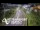 Webcam in North Shore, 0.6 mi away