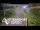Webcam in North Shore, 1078.4 km
