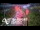 Webcam in North Shore, 0.6 mi away