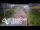 Webcam in North Shore, 6.9 km