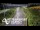 Webcam in North Shore, 0.6 mi away