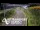 Webcam in North Shore, 7.4 km entfernt
