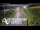 Webcam in North Shore, 6.7 km entfernt
