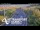 Webcam in North Shore, 0.6 mi away