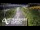 Webcam in North Shore, 0.6 mi away